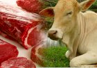 Cattle slaughter to be banned in Sri Lanka