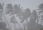 Cyclonic storm ‘BUREVI’  moving away from Sri Lanka without heavy damage