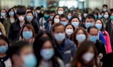 WHO advisory panel to assess whether public should wear face masks to spread the virus