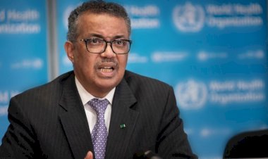 WHO back tracks their earlier advice on “No Immunity”