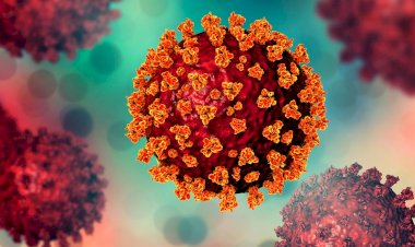 Melbourne Delta Variant linked to Sri Lankan arrival was only a transit passenger