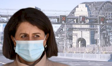 NSW reports worst COVID day with 356 new cases and 3 deaths