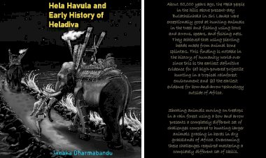 Hela Havula and Early History of Hela Diva – New Publication