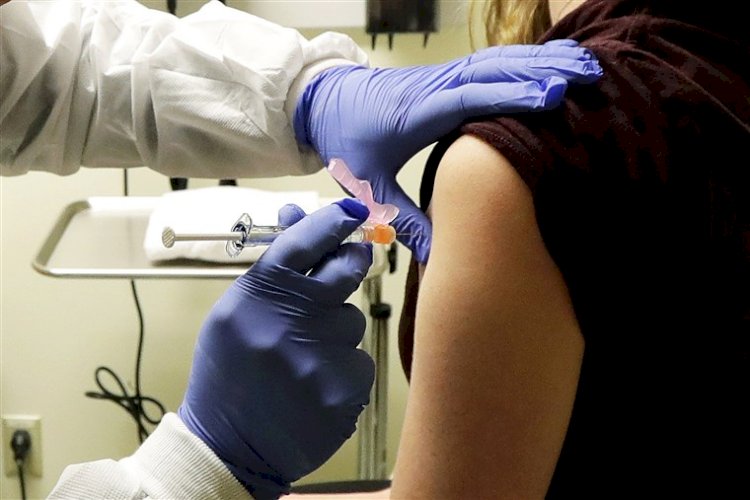 Human trials  of Coronavirus vaccine to begin in UK and Germany