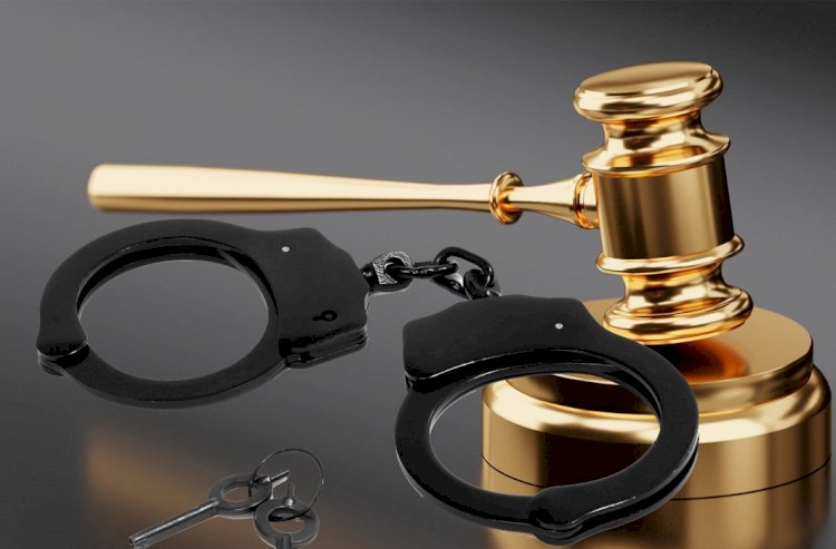 100 government MPs demand the re-arrest of Riyaj Bathiudeen