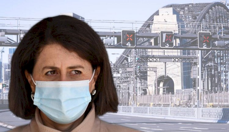 NSW reports worst COVID day with 356 new cases and 3 deaths